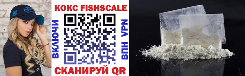 Cocaine Fish Scale  OMG ССЫЛКА  Зуевка 