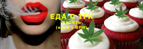 индика Аркадак