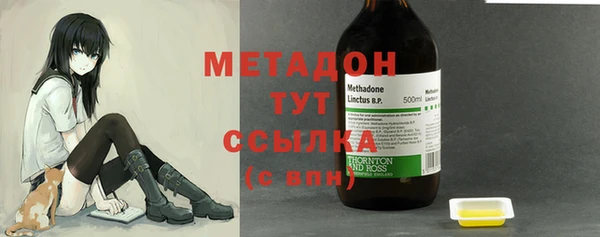 индика Аркадак