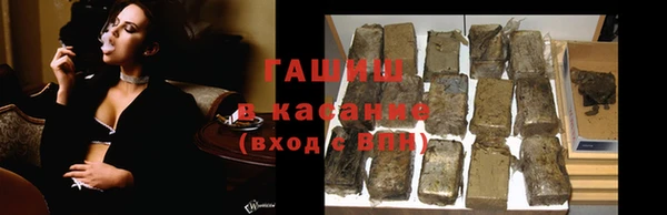 индика Аркадак