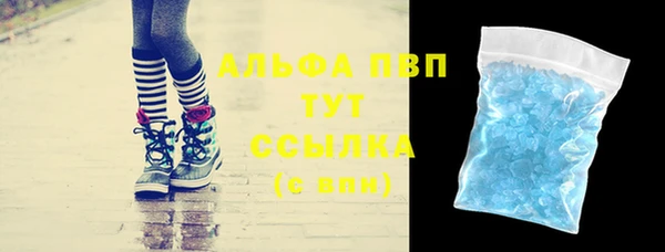 индика Аркадак