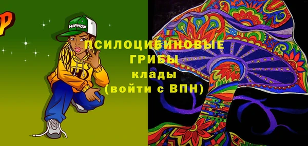 индика Аркадак