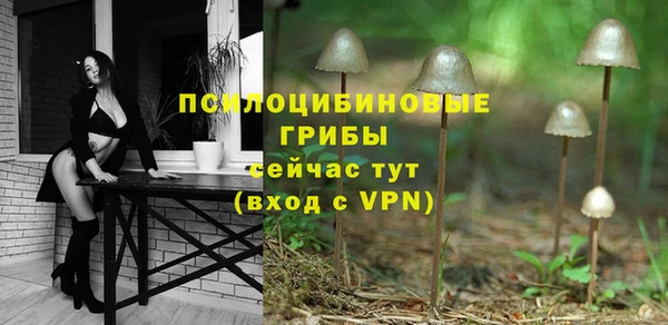 индика Аркадак
