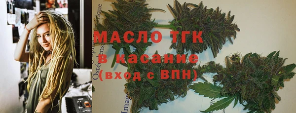 индика Аркадак