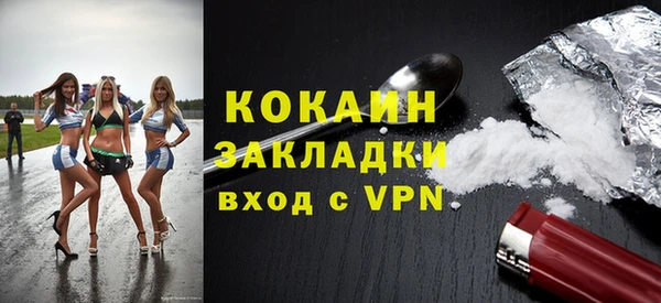 индика Аркадак