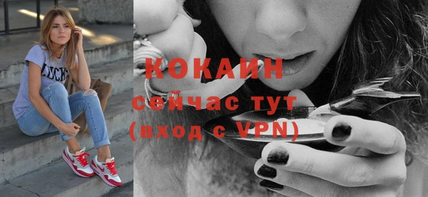 индика Аркадак