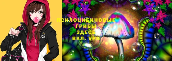 индика Аркадак