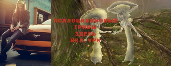 хмурый Балабаново