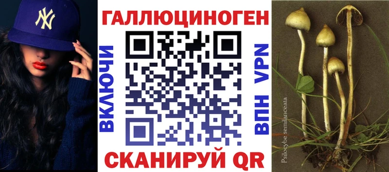 хочу наркоту  Зуевка  Псилоцибиновые грибы прущие грибы 